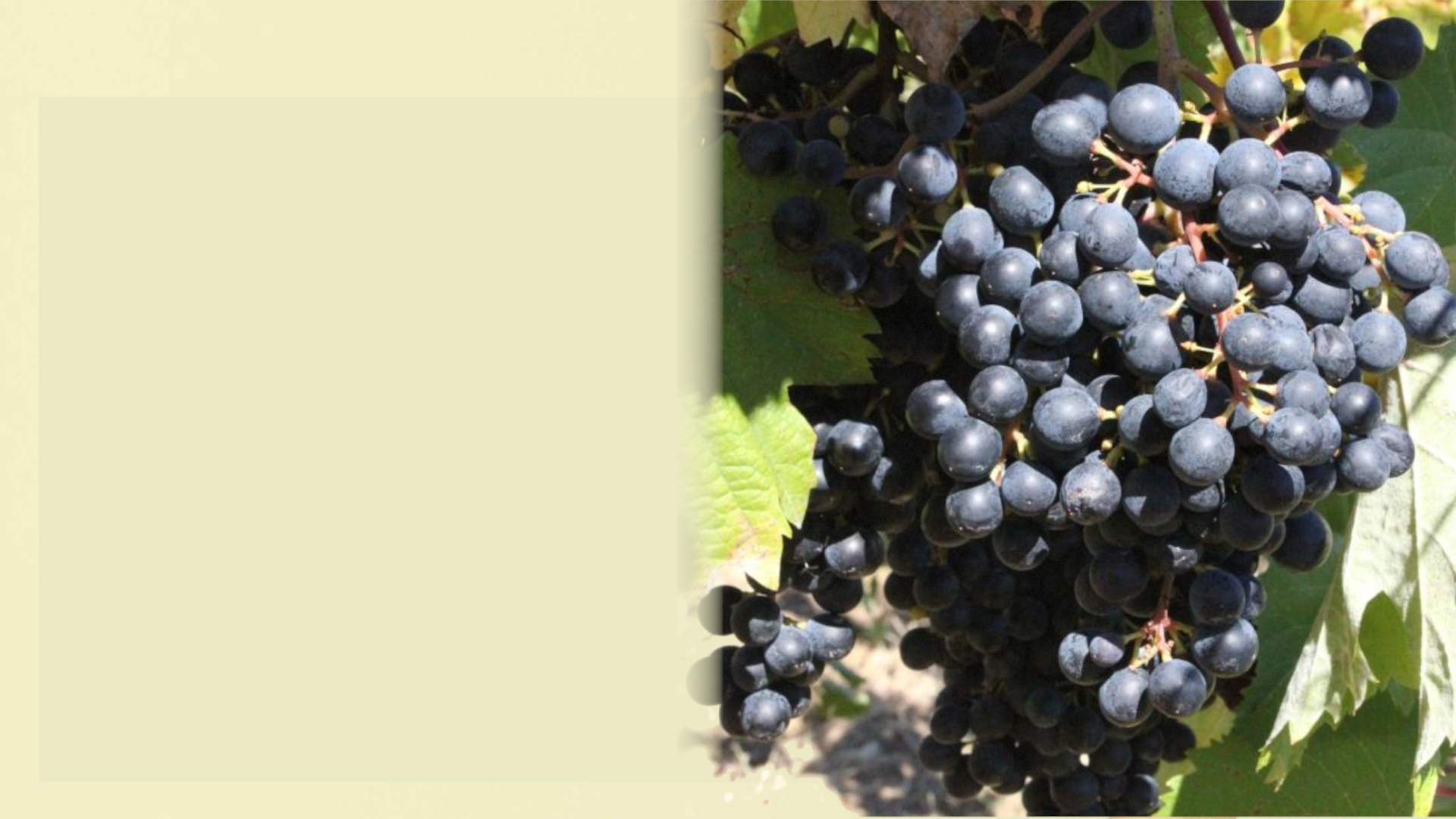 Awesome Drupal Theme