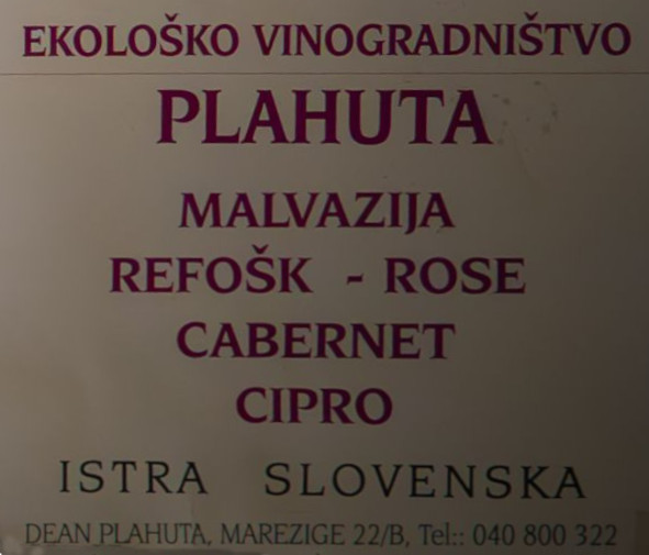 Vina Plahuta