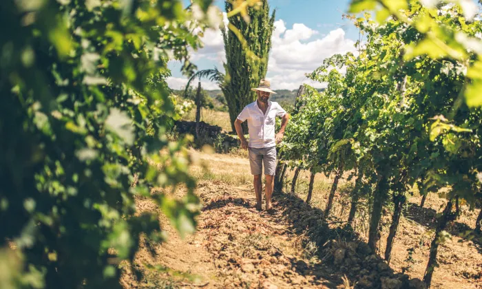 Dejan Plahuta v vinji